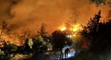 Muğla'da orman yangını