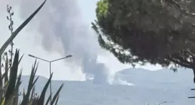 Muğla'nın bir ilçesinde daha yangın