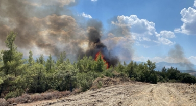 Orman yangını söndürüldü
