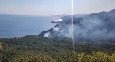 Orman yangınıyla ilgili bir şüpheli gözaltında