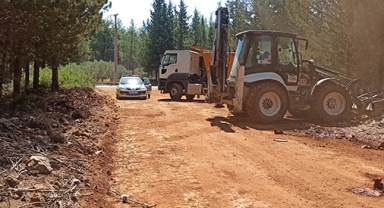 Ormanlarda ‘yangın’ temizliği
