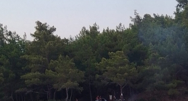 Ormanlık alanda ateş yaktılar... Para cezası aldılar