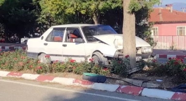 Otomobil refüjdeki ağaca çarptı