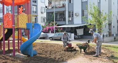 Parka ilk fidan Kocagöz’den