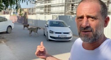Sahiplenilen saldırgan köpek yeniden sokağa bırakıldı iddiası