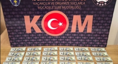 Sahte para operasyonu