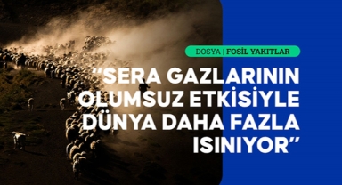 Sıcaklıkta yaşanan artışın iklim değişikliğini tetikliyor