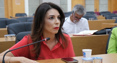 Sokak hayvanları için ‘çözüm’ toplantıları