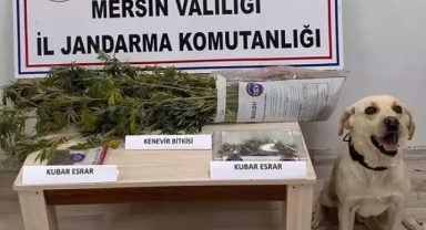 Uyuşturucu operasyonu: 7 şüpheli yakalandı