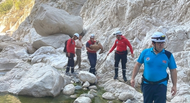 Yaralı bulunan keçi kurtarıldı
