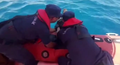 Yaralı caretta caretta kurtarıldı