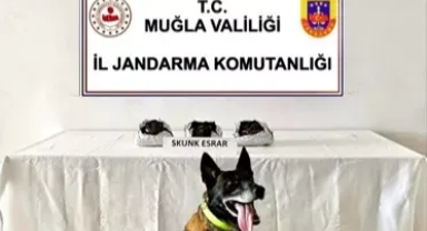 Yolcu otobüsüyle uyuşturucu sevkiyatı yapmaya çalışırken yakalandılar
