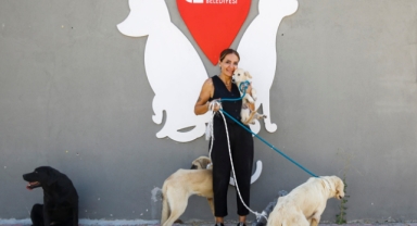 642 kedi ve köpek sahiplendirildi