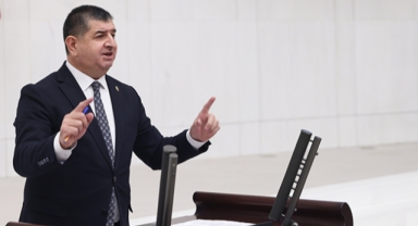 Arı, falezleri TBMM gündemine taşıdı