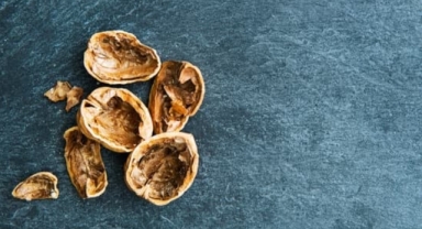 Ceviz kabuğu suyu: Doğanın şifalı iksiri