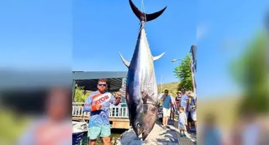 Dev orkinos yakaladı