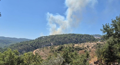 Kaş'ta orman yangını