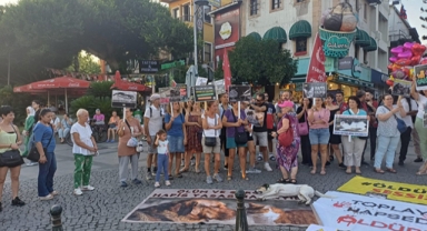 “Tek bir canımızı vermeyeceğiz”