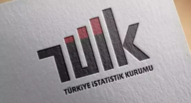 TÜİK: İhracatın yüzde 43,4'ü büyük ölçekli girişimlerin