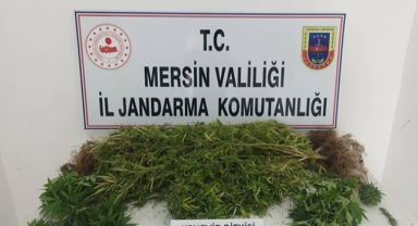 Uyuşturucu operasyonu: 4 zanlı yakalandı