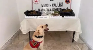 Uyuşturucu operasyonunda 3 şüpheli yakalandı