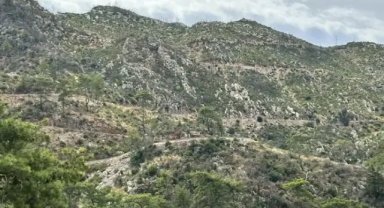 Yanan yerler yeşermeye başladı