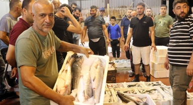Yasak kalktı, fiyatlar düştü
