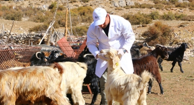 Çoban Haritası Projesi tamam