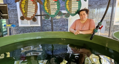 Deniz kaplumbağaları için en büyük tehdit tekneler