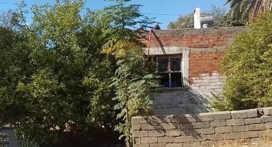 Güvercinleri alevlerin arasından kurtardılar