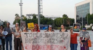 Hayvanseverlerden AYM’ye çağrı: Yasayı derhal iptal edin