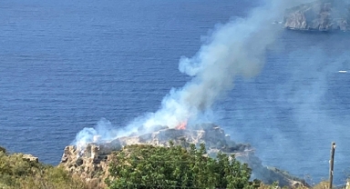 Makilik alanda yangın çıktı