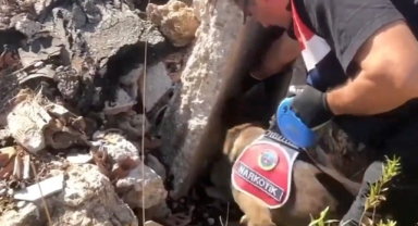 Narkoçelik-42 operasyonu: 1 ton 971 kilogram uyuşturucu ele geçirildi