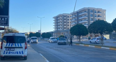 Refüjdeki ağaçlara çarptı
