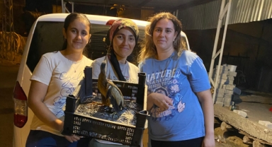 Tedavi altına alındı
