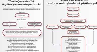 'Yenidoğan çetesi'nin örgütsel şeması
