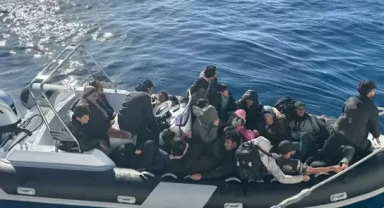 86 kaçak göçmen yakalandı