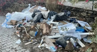 Çevreyi kirletenlere ceza yağdı