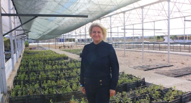 Döşemealtı’na Tarım Kampüsü 