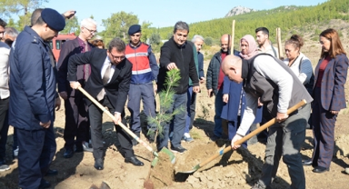 Fidanlar toprakla buluştu