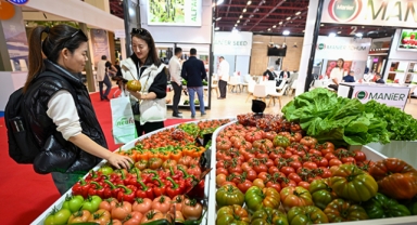 GROWTECH rekorla başladı