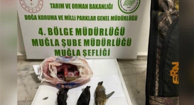 Kaçak avcılara para cezası