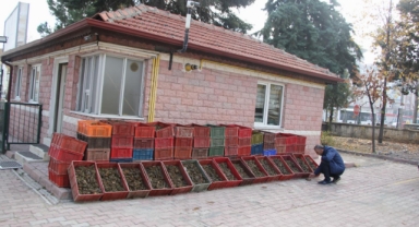 Kaçak avlanan 84 kasa kerevit ele geçirildi