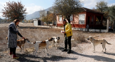 Komşusunun köpeğini öldürdü!