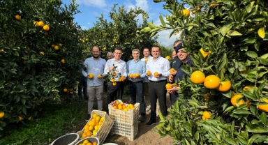 Milletvekili Uslu portakal hasadına katıldı