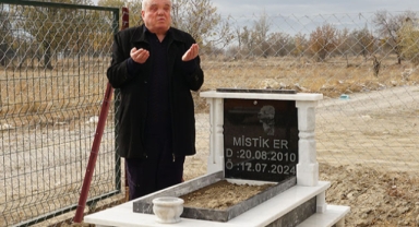 Ölen köpeği için mezar yaptırdı!