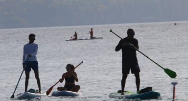 Organ Bağışı için kürek çektiler