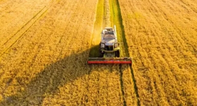 Tarım ve Orman Bakanlığı: 'Planlı üretim' rehberi yayımlandı