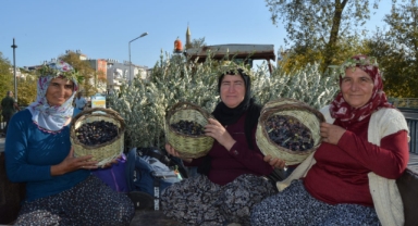 Zeytin ve Zeytinyağı Festivali başladı