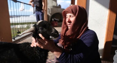 Çok sevdiği kuzusuna kavuştu